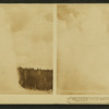 Giant Geyser, one of the  largest in the world, Yellowstone Park, U.S.A.