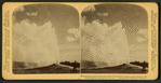 The most famous sight in Yellowstone Park, 'Old Faithful' Geysor in action.
