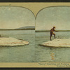 Larry" Catching and Cooking Trout, Yellowstone National Park.