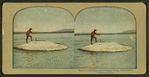 Larry" Catching and Cooking Trout, Yellowstone National Park.