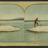 Larry" Catching and Cooking Trout, Yellowstone National Park.