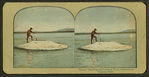 Larry" Catching and Cooking Trout, Yellowstone National Park.