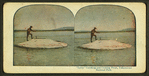Larry" Catching and Cooking Trout, Yellowstone National Park.