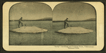 Larry" Catching and Cooking Trout, Yellowstone National Park.