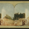 Lone Star Geyser Cone, Yellowstone National Park.