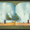 Constant Geyser, Black Growler and Steamboat Geyser in Eruption at Norris Basin, Y. N. P.