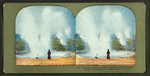 Constant Geyser, Black Growler and Steamboat Geyser in Eruption at Norris Basin, Y. N. P.