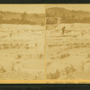Jupiter's Terrace, Mammoth Hot Springs.