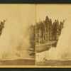 Riverside Geyser.