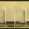 Old Faithful Geyser during Eruption, Yellowstone National Park.