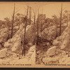 Limestone Hoodoos.