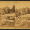Ingersoll Spring (Bob).