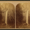 Tower Falls.