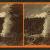 Riverside Geyser in eruption.