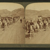 Fort Yellowstone Cavalry, the U.S. soldiers who guard the great National Park.