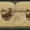 Six-horse tally-ho leaving mountain walled Gardiner for trip through Yellowstone Park, U.S.A.