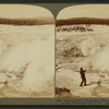 Black Growler', whose steam kills trees, and whose roaring startles tourists, Yellowstone Park, U.S.A.