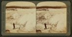 Black Growler', whose steam kills trees, and whose roaring startles tourists, Yellowstone Park, U.S.A.