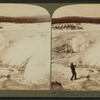 Black Growler', whose steam kills trees, and whose roaring startles tourists, Yellowstone Park, U.S.A.