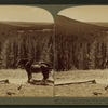 W. from Continental Divide over Shoshone Lake to the Grand Teton, Yellowstone Park, U.S.A.