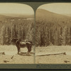 W. from Continental Divide over Shoshone Lake to the Grand Teton, Yellowstone Park, U.S.A.