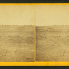Prairie dog town, Abilene, Kansas, 447 miles west of St. Louis, Mo.