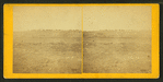 Prairie dog town, Abilene, Kansas, 447 miles west of St. Louis, Mo.