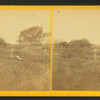 Workmen's ranche [sic], on Alum Creek, Kansas, 7 miles east of Fort Harker, and 496 miles west of St. Louis, Mo.