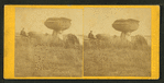 View of Mushroom Rock, Alum Creek, Kansas, 7 miles east of Fort Harker, and 496 miles west of St. Louis, Mo.
