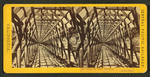 Frame for snow covering, interior view.