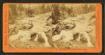 Falls on Yuba River, near Cisco, Placer County.