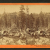 Teams on the summit, Dutch Flat and Donner Lake Wagon Road, Placer County.