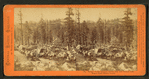 Teams on the summit, Dutch Flat and Donner Lake Wagon Road, Placer County.