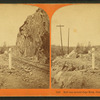 Half way around Cape Horn, Central Pacific Railroad.