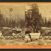 Teaming from the Central Pacific Railroad at Cisco, Placer County.