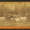 A full team on the Sierras, from the Central Pacific Railroad.