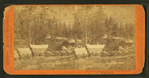 A full team on the Sierras, from the Central Pacific Railroad.
