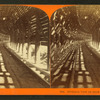 Interior view of snow shed, C.P.R.R.
