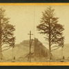 Thousand mile tree, 1000 miles West of Omaha, looking west.