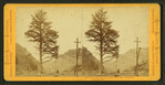 Thousand mile tree, 1000 miles West of Omaha, looking west.