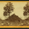 Thousand mile tree, 1000 miles West of Omaha.