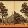 1,000-mile Tree, Weber Canyon, Utah. U.P.R.R.