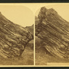 Petrified stump, [...] diameter.