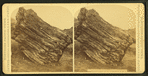 Petrified stump, [...] diameter.