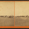 Harvesting, Williams Farm, D.T.