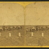 Seeding. [Men with teams of horse plows seeding a field.]