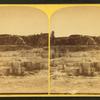 Hot spring terrace, Devil's Thumb. [Yellowstone National Park.]