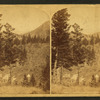 East from Mullen Tunnel Grade [showing log cabin below].