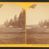Extinct geyser, east fork of the Yellowstone.