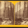Left fork of Teton River.